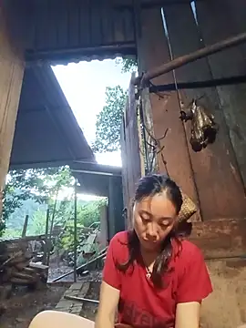 Jinli 01 online show from July 24, 11:52 am
