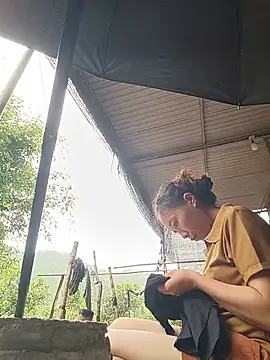 Jinli 01 online show from July 16, 7:57 am