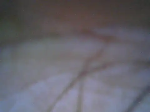 SleekCandy petites online show from June 21, 7:51 pm