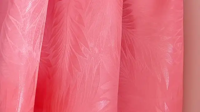 Mia Nova5 online show from June 29, 11:43 am