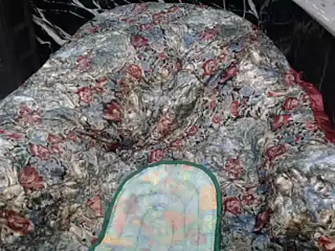 ASIANDOLLY4U online show from November 1, 1:10 am