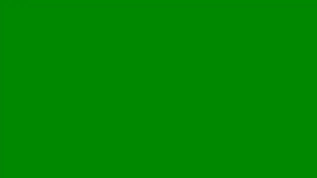 BiMolly online show from May 15, 10:18 am