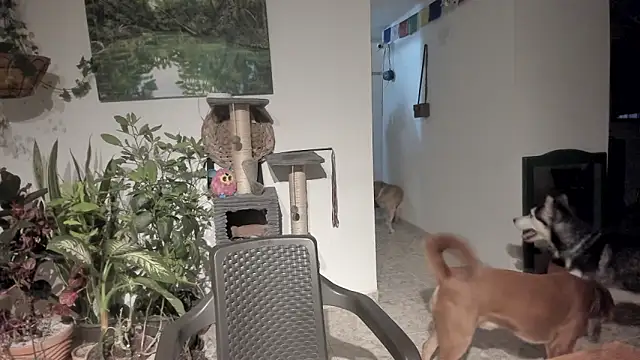 sexnherbs online show from April 21, 1:53 am