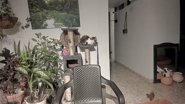 sexnherbs online show from April 21, 3:35 am