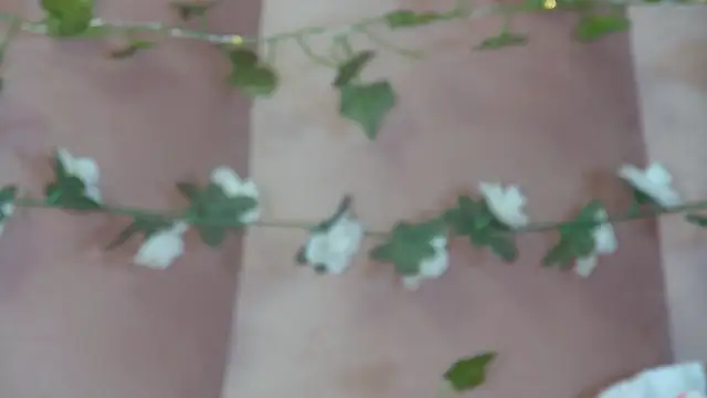 GentleRossi online show from March 17, 3:16 pm