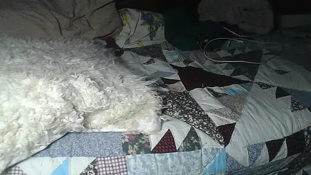 Alma Evelynne online show from February 25, 10:52 pm