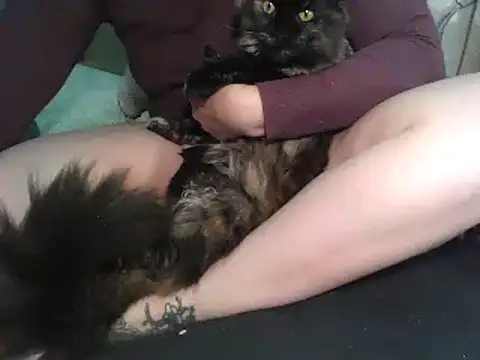 Alma Evelynne online show from October 4, 7:18 pm