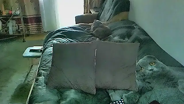 sex2 online show from March 8, 2:04 am