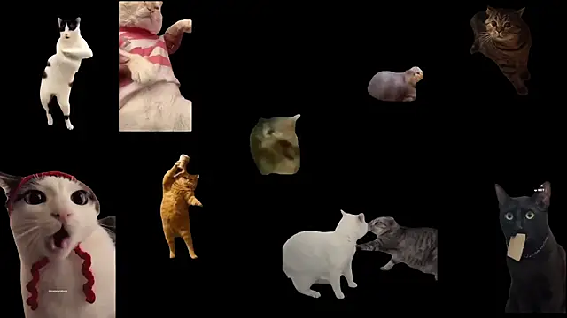 aberaaruba online show from November 5, 11:48 am