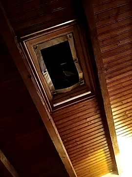 CurlyElisa online show from February 26, 9:36 pm