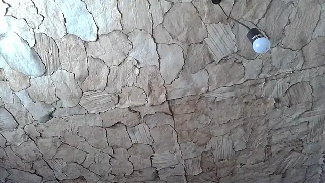 ThickBones online show from February 3, 1:27 pm