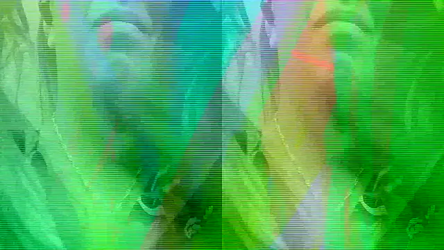 pinky violeta online show from October 5, 12:48 am