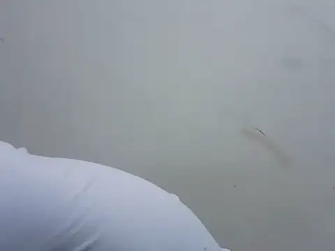 prettybeee online show from November 18, 10:44 pm