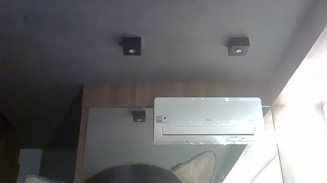 Skinny-Kitten online show from January 18, 4:20 am