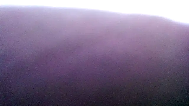 Lelety79 online show from April 2, 7:06 am